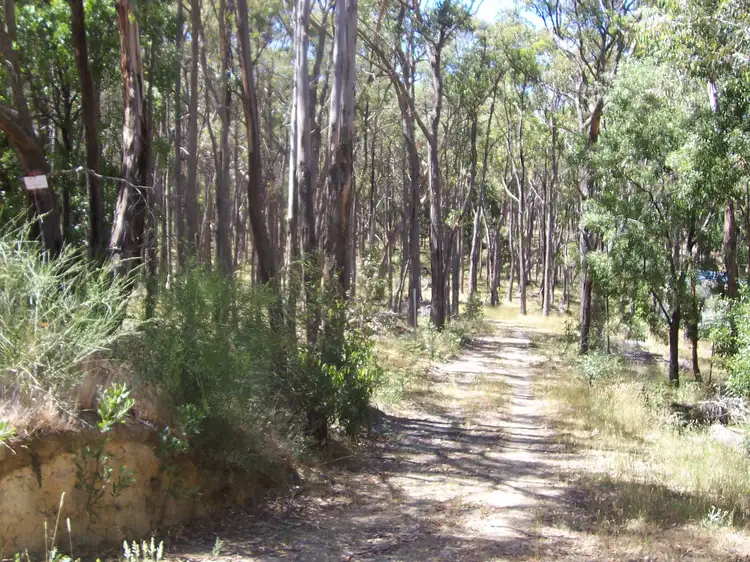 Main view of Homely land listing, LOT 113 Pine Court, Dales Creek VIC 3341