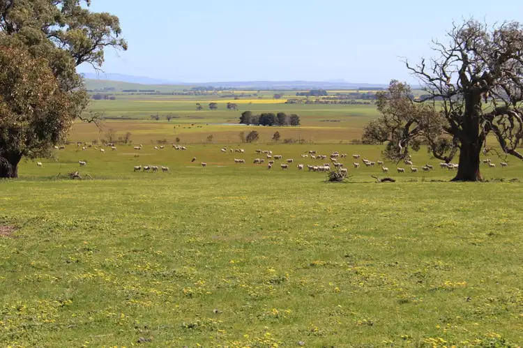Second view of Homely rural property listing, Pittong-Snake Valley Road, Pittong VIC 3360