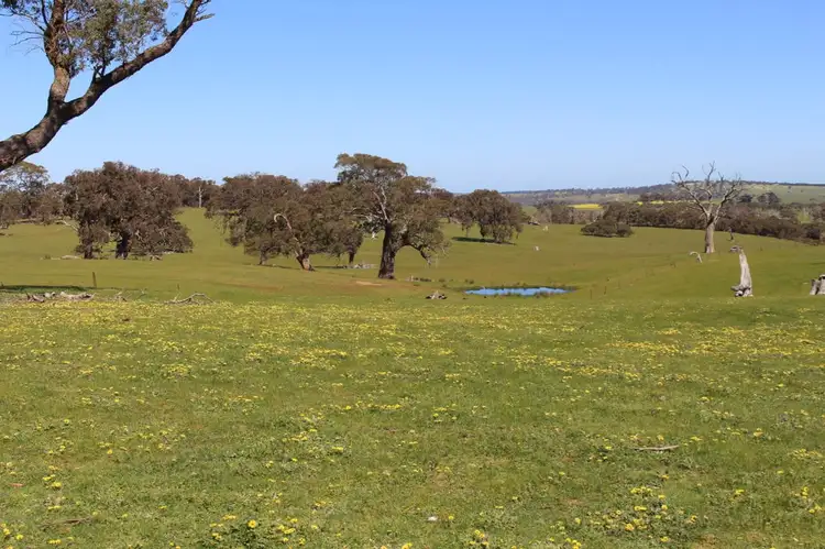 Fifth view of Homely rural property listing, Pittong-Snake Valley Road, Pittong VIC 3360
