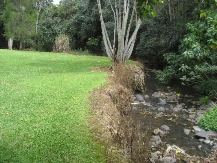 Fifth view of Homely rural property listing, 643 Tuntable Creek Road, Tuntable Creek NSW 2480