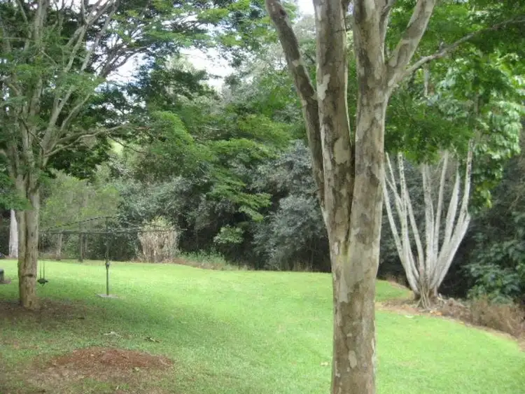Sixth view of Homely rural property listing, 643 Tuntable Creek Road, Tuntable Creek NSW 2480
