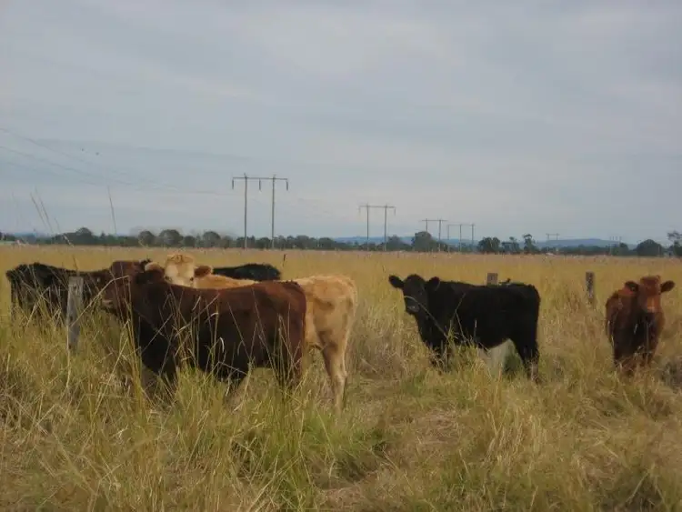 Sixth view of Homely rural property listing, 2 Fig Tree Lane, Tatham NSW 2471