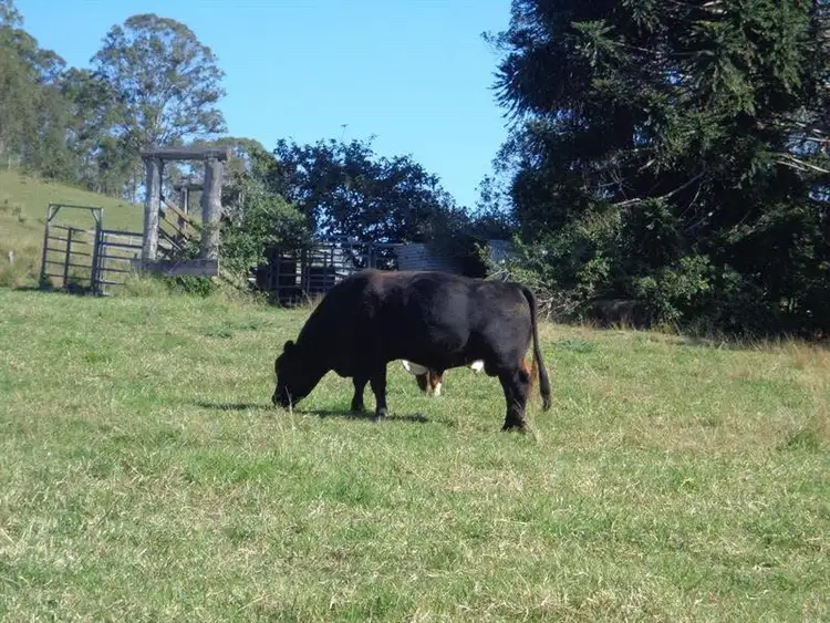 Seventh view of Homely rural property listing, 560 Spring Grove Road, Spring Grove NSW 2470