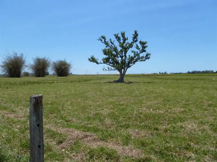 Second view of Homely rural property listing, 8 Forest Road, Woodburn NSW 2472
