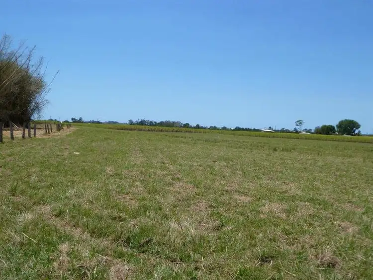 Third view of Homely rural property listing, 8 Forest Road, Woodburn NSW 2472