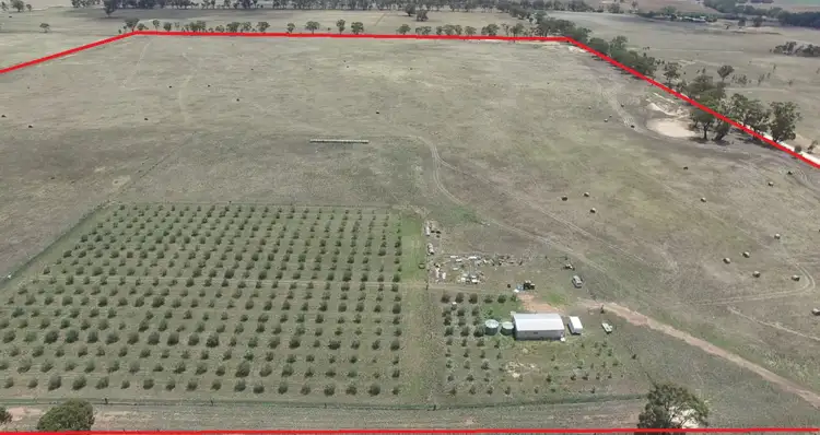Chamberlain's Road, Inglewood VIC 3517
