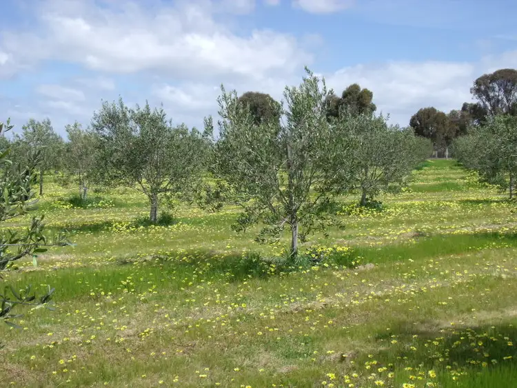 Third view of Homely rural property listing, Chamberlain's Road, Inglewood VIC 3517