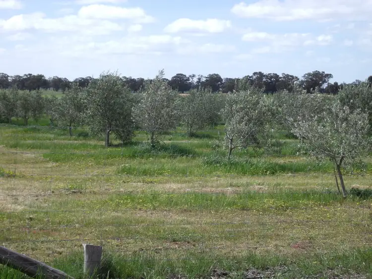 Fourth view of Homely rural property listing, Chamberlain's Road, Inglewood VIC 3517