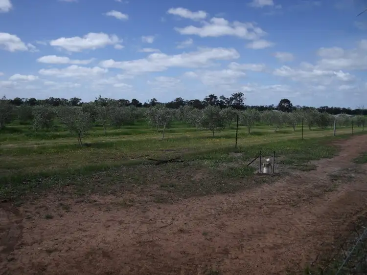 Fifth view of Homely rural property listing, Chamberlain's Road, Inglewood VIC 3517