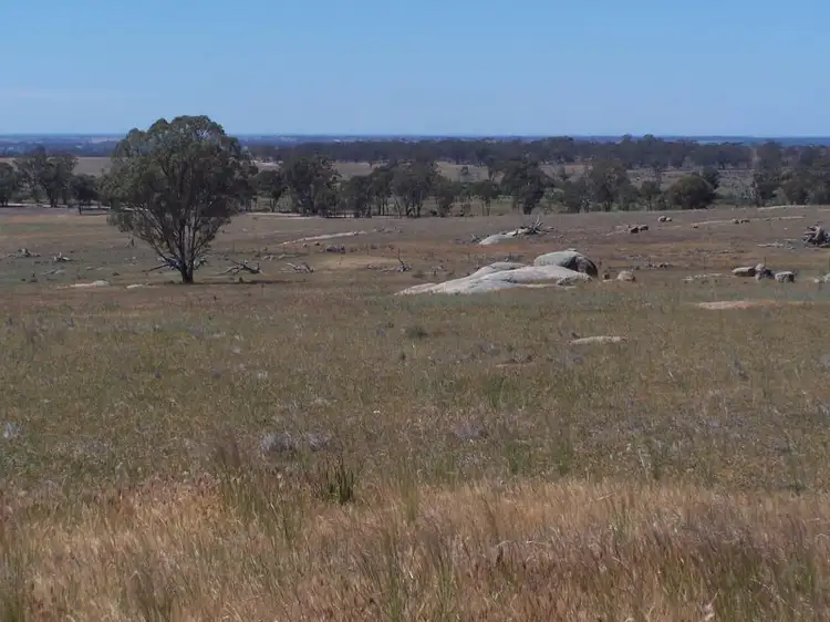 Main view of Homely rural property listing, Old Canfields Road, Korong Vale VIC 3520