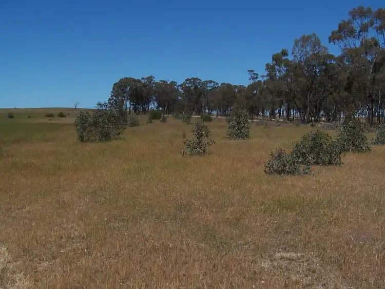 Third view of Homely rural property listing, Old Canfields Road, Korong Vale VIC 3520