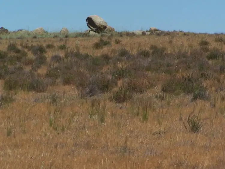 Sixth view of Homely rural property listing, Old Canfields Road, Korong Vale VIC 3520