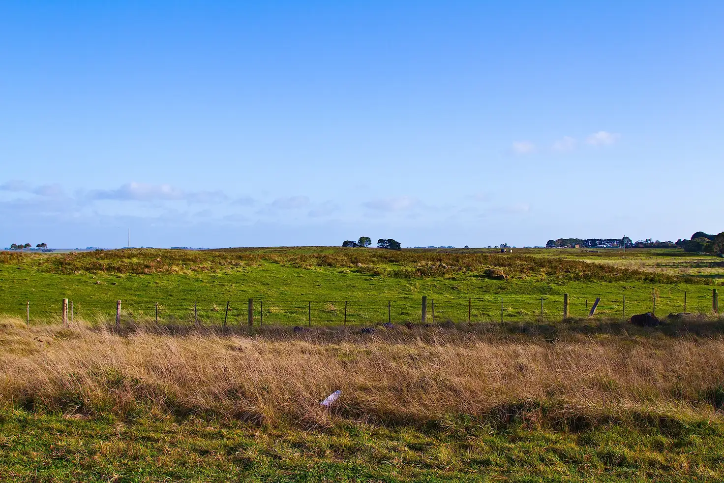 Main view of Homely rural property listing, 1 Faulkners Road North, Tarrone VIC 3283