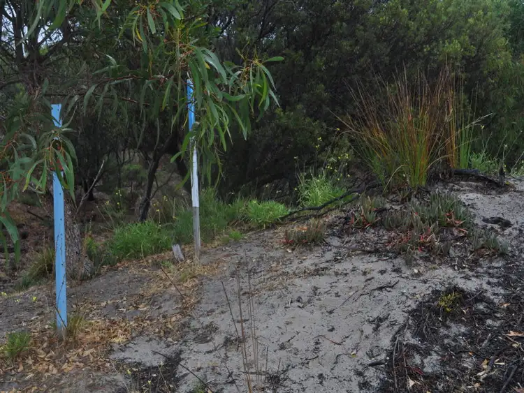 Fifth view of Homely land listing, LOT 172 Borda Road, Island Beach SA 5222