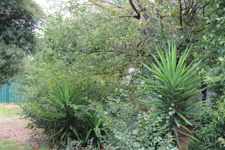 Fifth view of Homely house listing, 236 High Street, Violet Town VIC 3669