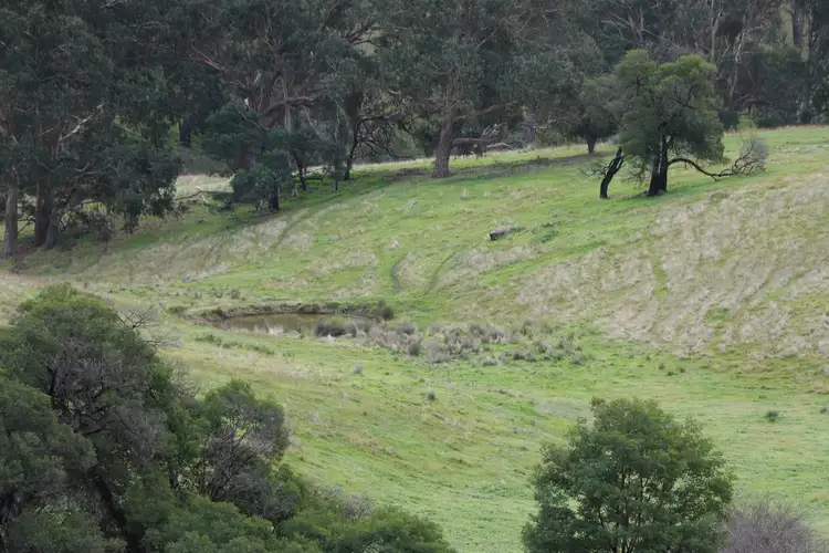 Sixth view of Homely rural property listing, 571 Molesworth Dropmore Road, Molesworth VIC 3718