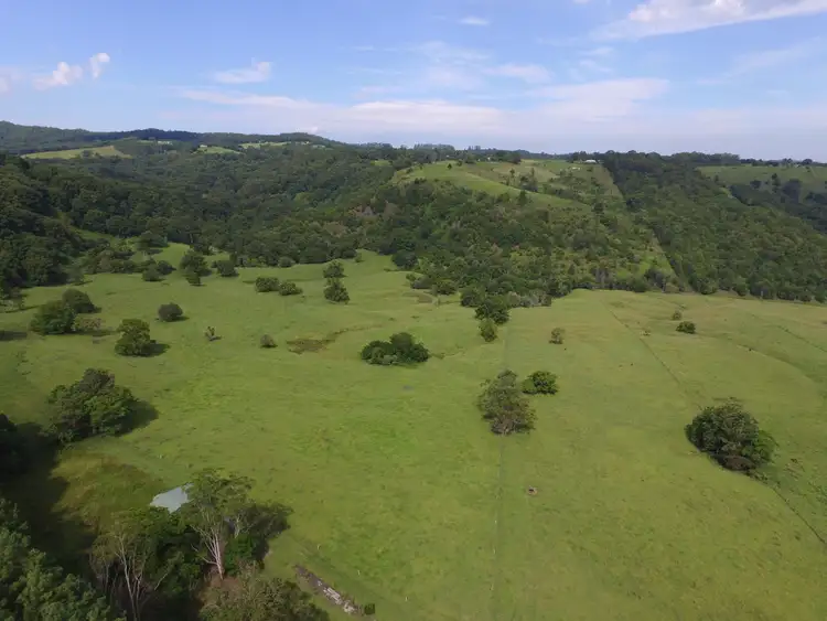 482 Terania Creek Road, The Channon NSW 2480