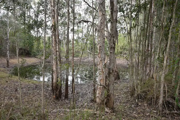 (Lot 21) 2923 Old Tenterfield Road, Busbys Flat NSW 2469