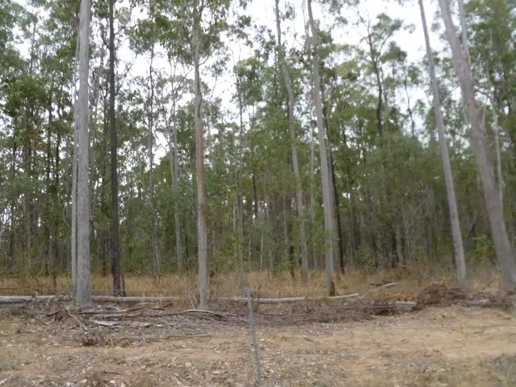 Sixth view of Homely rural property listing, (Lot 21) 2923 Old Tenterfield Road, Busbys Flat NSW 2469