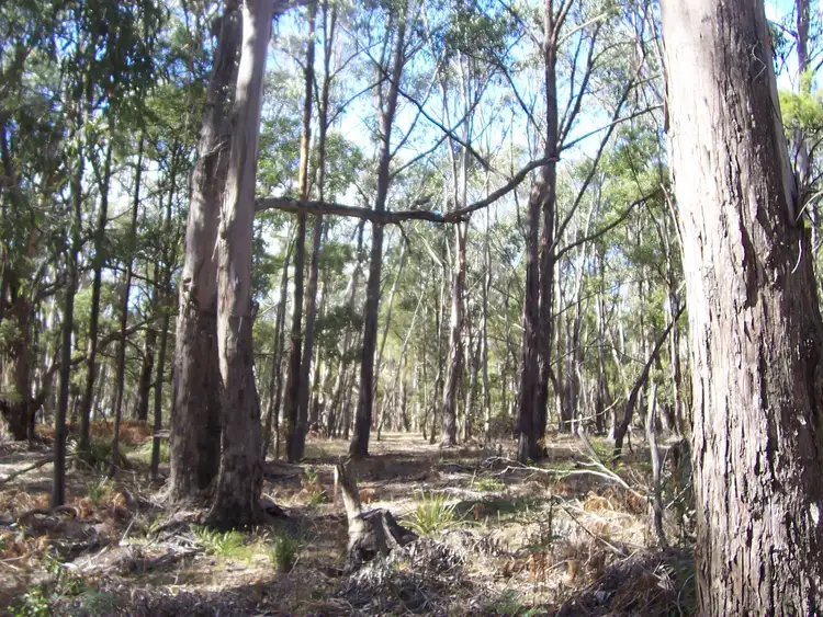 LOT 1 Moorabool West Road, Gordon VIC 3345