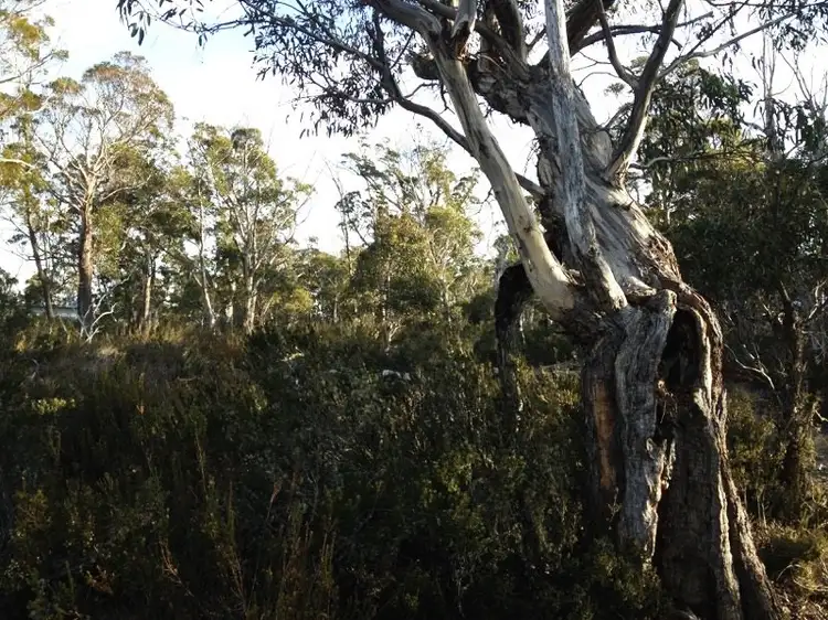 Seventh view of Homely land listing, LOT 76 Trout Crescent, Miena TAS 7030