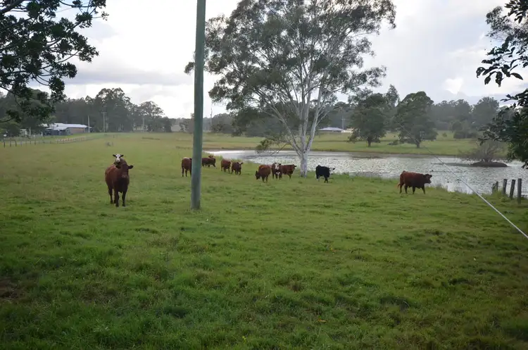 Fourth view of Homely rural property listing, 655 Reynolds Road, Backmede NSW 2470