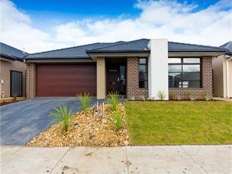 Main view of Homely house listing, 31 Trilium Blvd, Cranbourne North VIC 3977