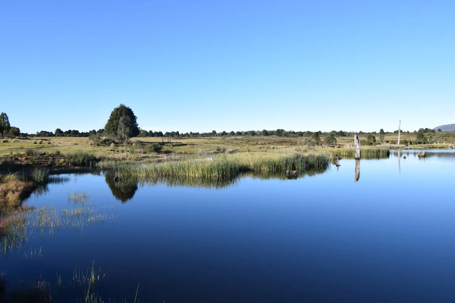 Main view of Homely land listing, LOT 1 Dam Road, Waratah TAS 7321