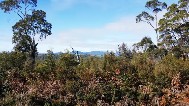 Sixth view of Homely land listing, 12 Bissett Place, Heybridge TAS 7316