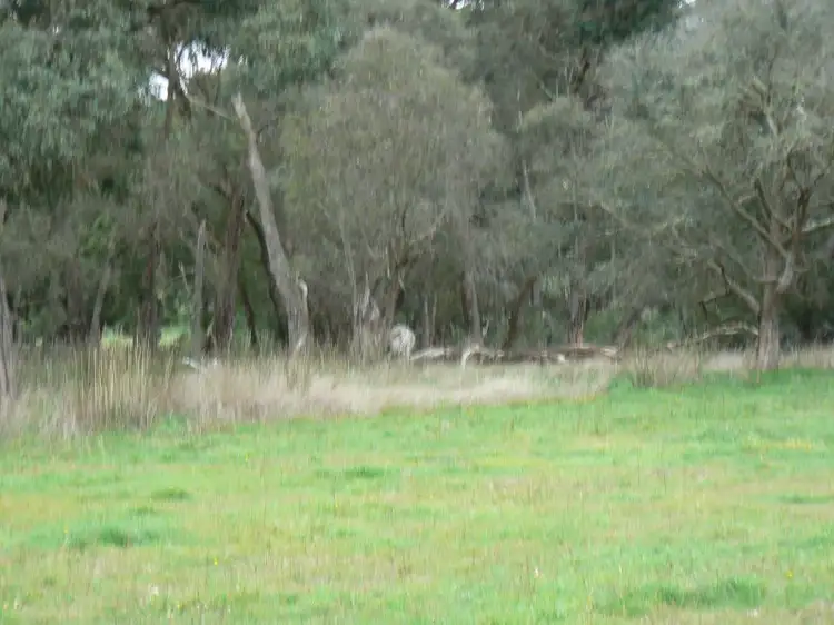 Sixth view of Homely rural property listing, 2575 Colac Forrest Road, Forrest VIC 3236
