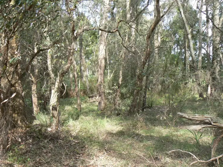 Seventh view of Homely rural property listing, 2575 Colac Forrest Road, Forrest VIC 3236