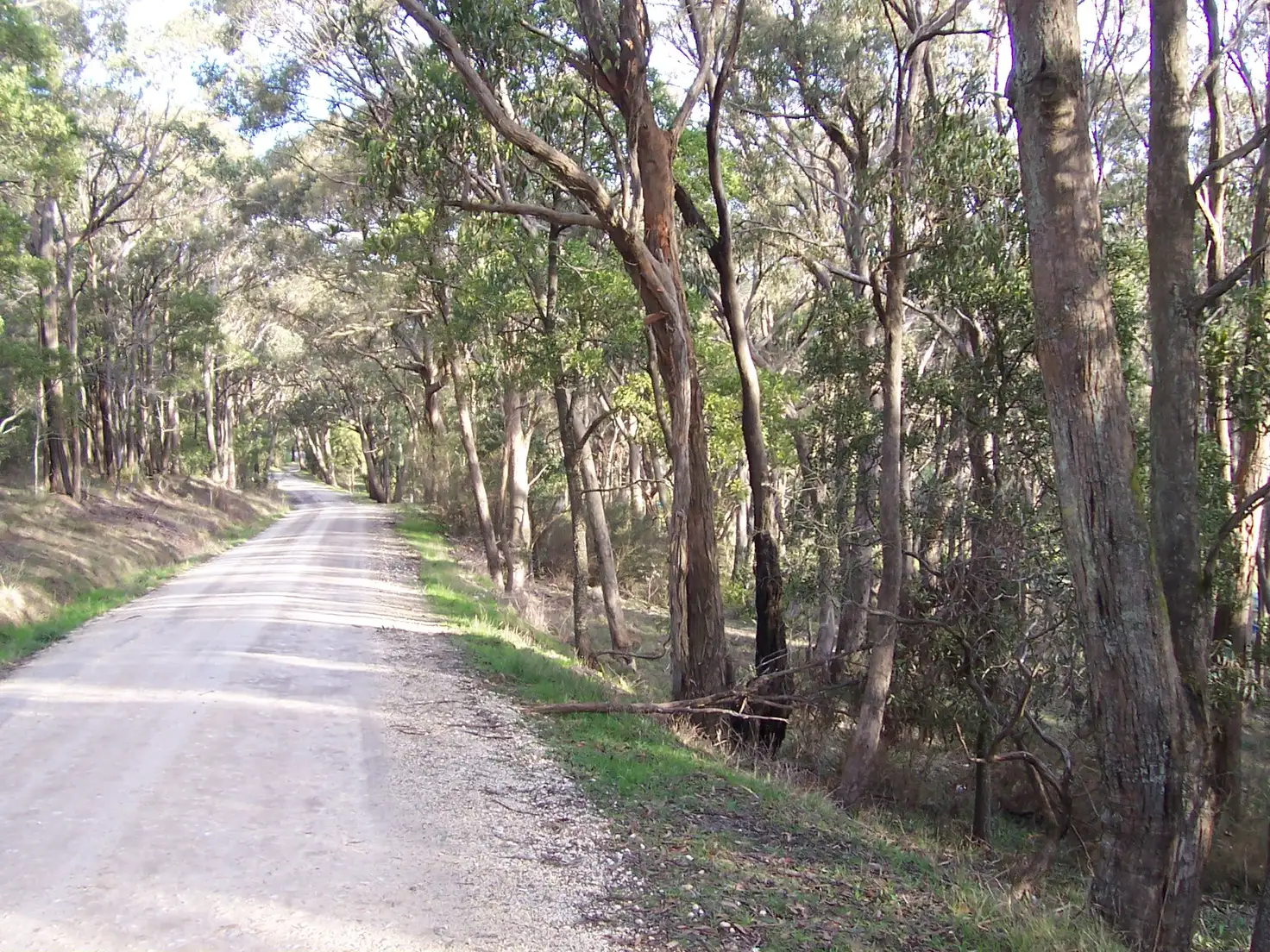 Main view of Homely land listing, LOT 11 Trounces Lane, Mount Egerton VIC 3352