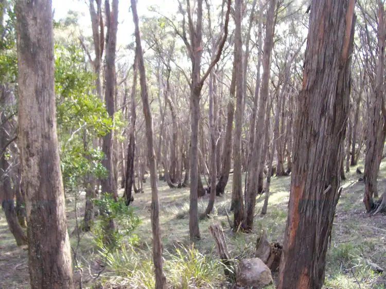 Second view of Homely land listing, LOT 11 Trounces Lane, Mount Egerton VIC 3352