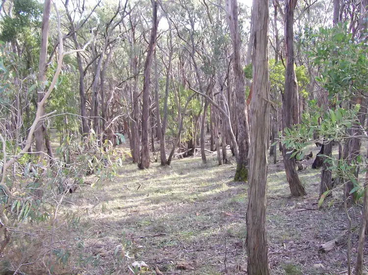 Third view of Homely land listing, LOT 11 Trounces Lane, Mount Egerton VIC 3352