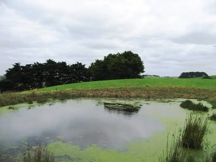 Second view of Homely rural property listing, Bena-Kongwak Road, Bena VIC 3946