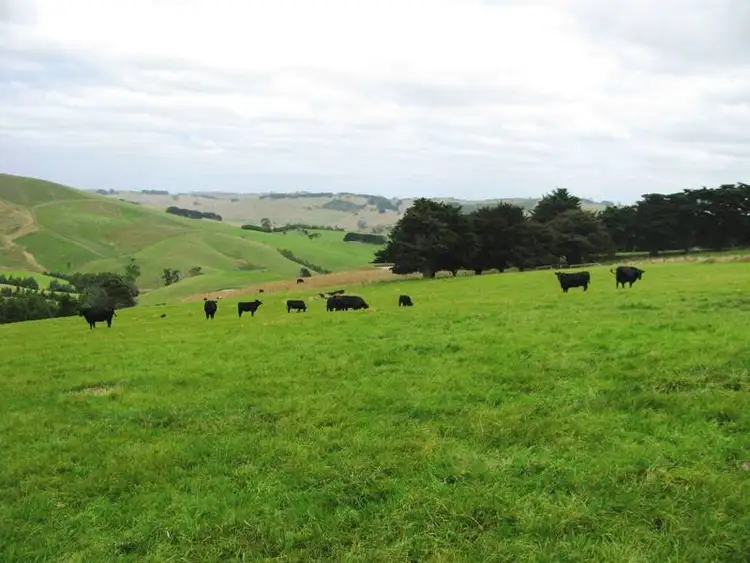 Fourth view of Homely rural property listing, Bena-Kongwak Road, Bena VIC 3946
