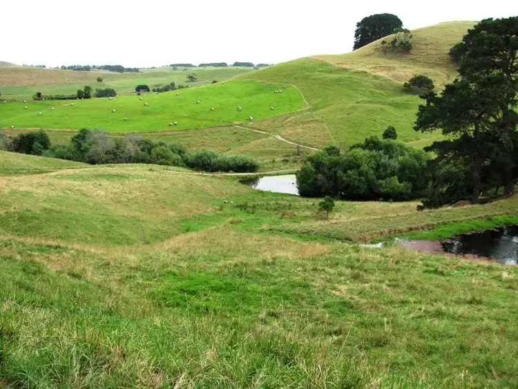 Seventh view of Homely rural property listing, Bena-Kongwak Road, Bena VIC 3946