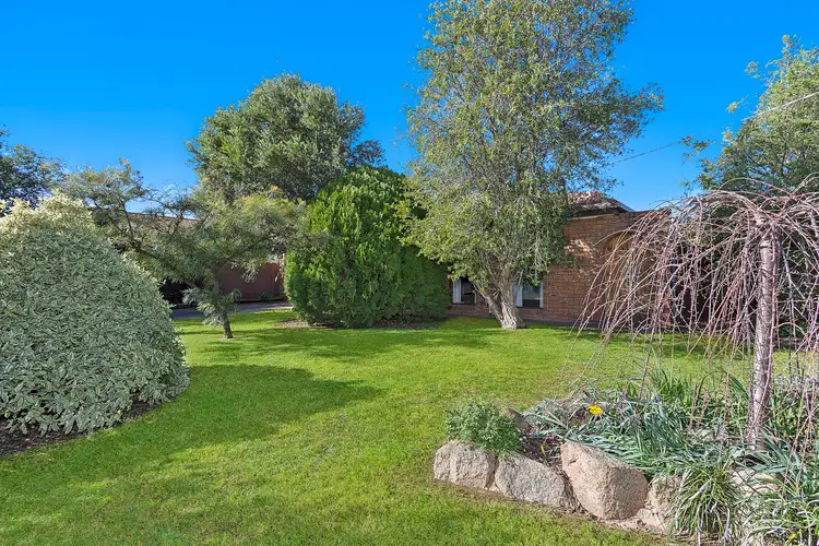 Main view of Homely house listing, 29 Latimer Street, Benalla VIC 3672