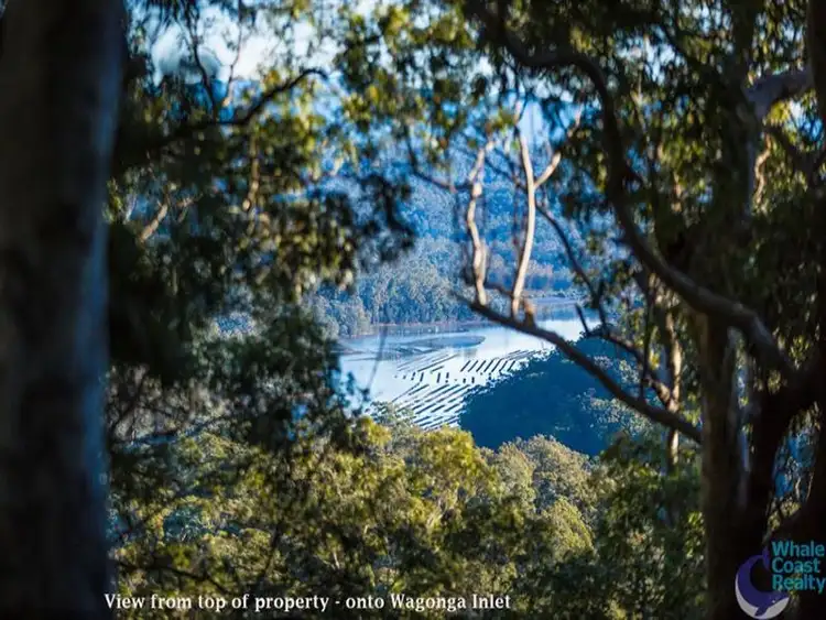 Fourth view of Homely rural property listing, 100 Hobbs Point Road, Narooma NSW 2546