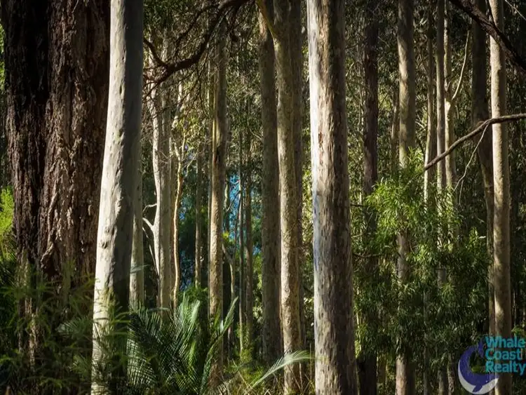 Third view of Homely land listing, 50 Woodlands Drive, Narooma NSW 2546