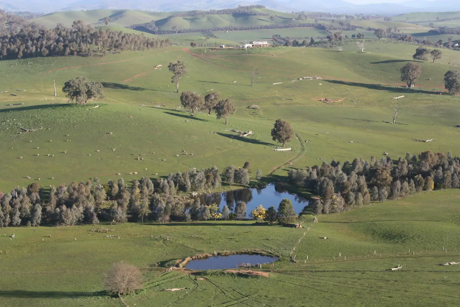 Main view of Homely rural property listing, 95 Granite Road, Lurg VIC 3673