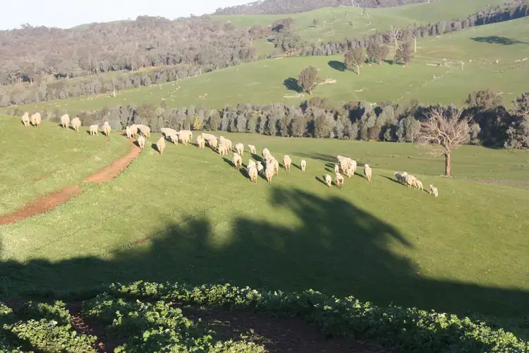 Fourth view of Homely rural property listing, 95 Granite Road, Lurg VIC 3673