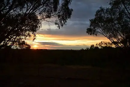 Second view of Homely rural property listing, 206 Griffiths Track, Glenrowan VIC 3675