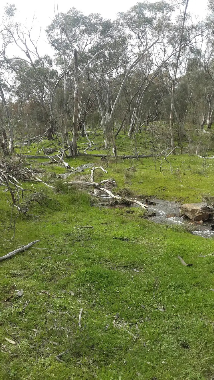 Sixth view of Homely rural property listing, 206 Griffiths Track, Glenrowan VIC 3675