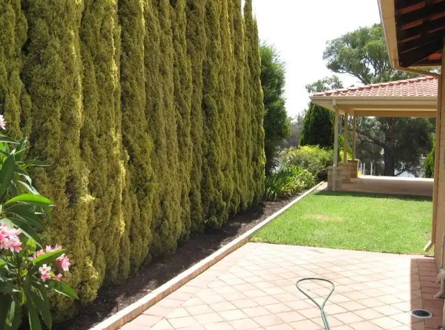 Sixth view of Homely house listing, 39 The Esplanade, Ascot WA 6104