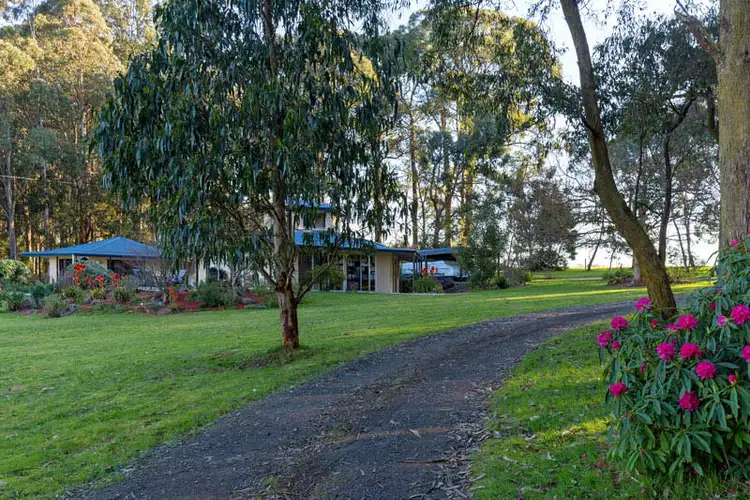 Fifth view of Homely house listing, 340 Kinglake - Glenburn Road, Kinglake VIC 3763