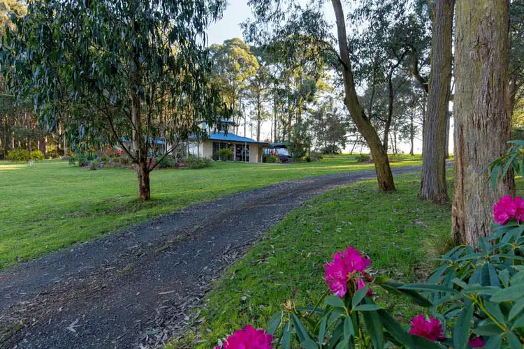 Sixth view of Homely house listing, 340 Kinglake - Glenburn Road, Kinglake VIC 3763
