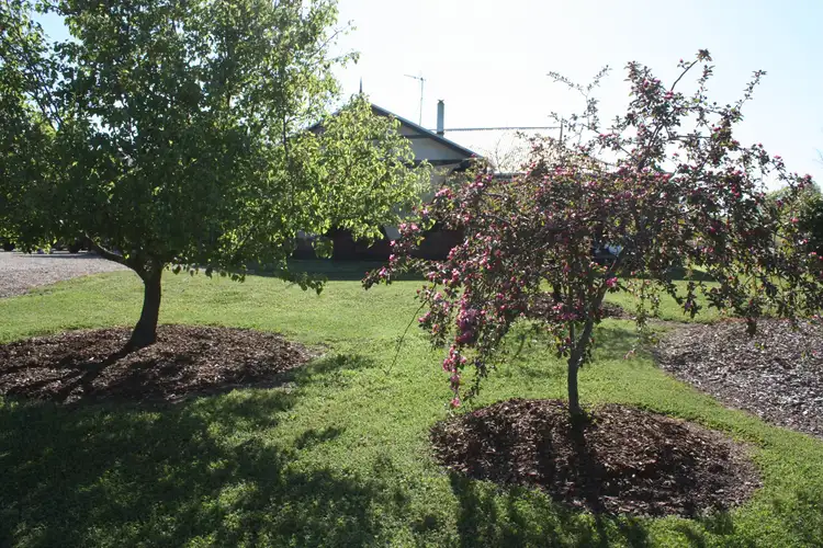 Seventh view of Homely rural property listing, Address available on request