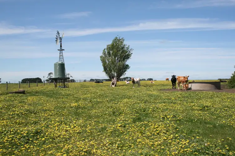 Second view of Homely land listing, LOT 13 Koroit - Woolsthorpe Road, Koroit VIC 3282