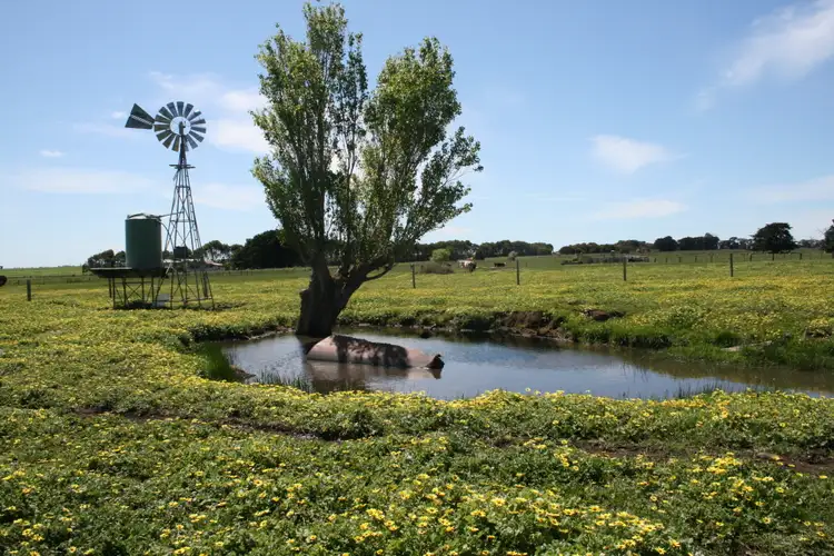 Fourth view of Homely land listing, LOT 13 Koroit - Woolsthorpe Road, Koroit VIC 3282